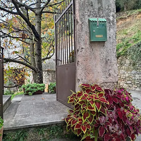 Naturama Appartement *